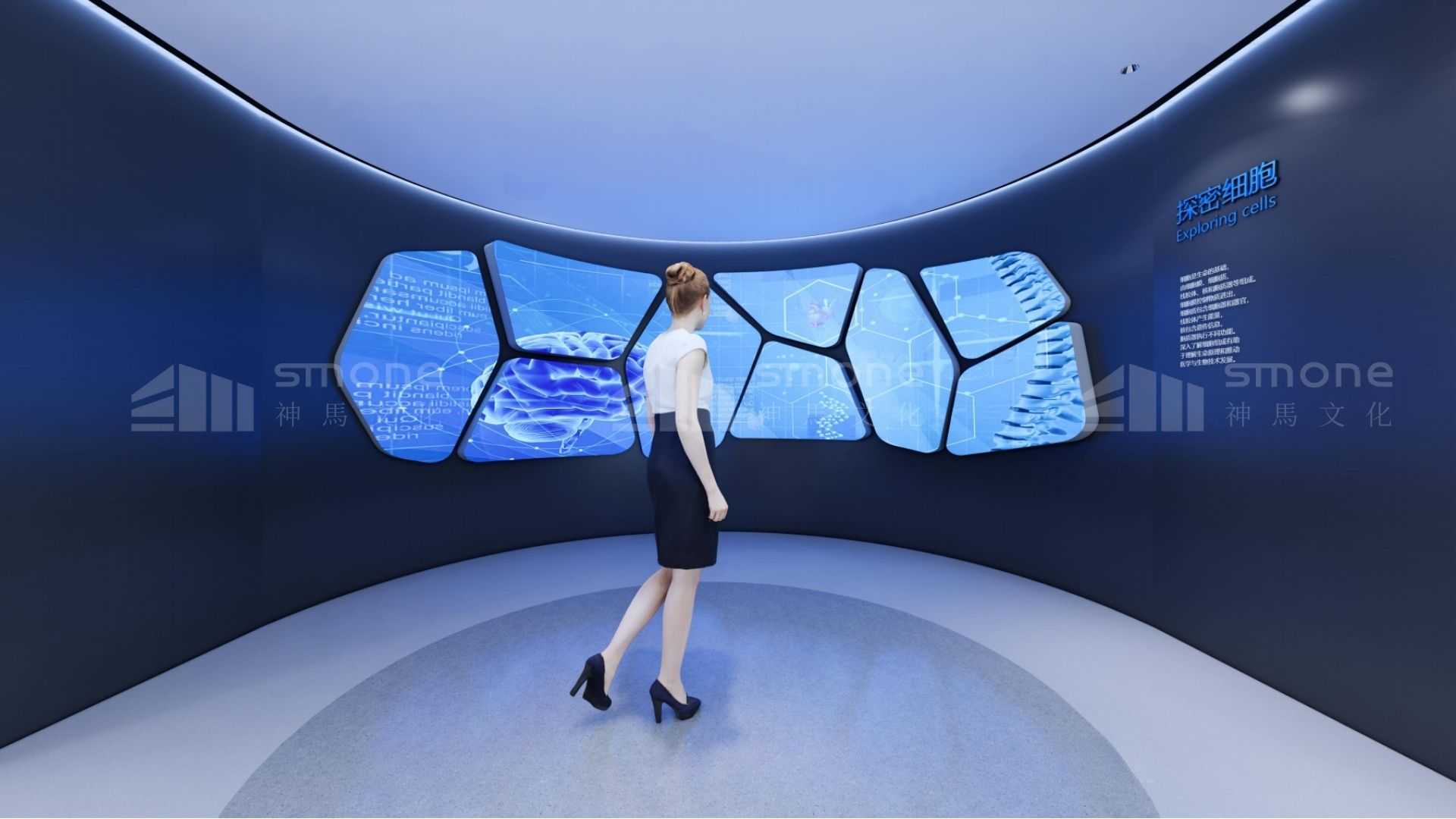 穿越時空，探秘干細胞“前世今生”