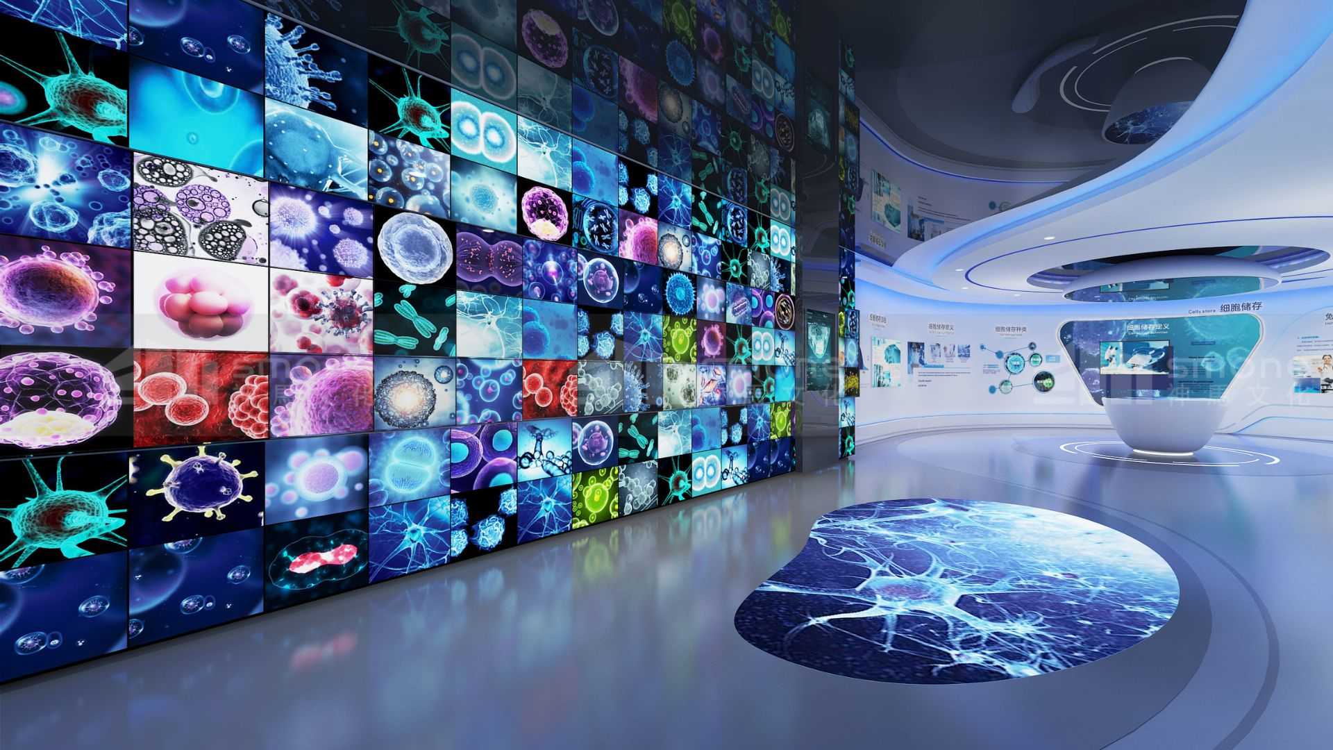 元宇宙實驗室：AI策展系統(tǒng)如何讓生物展廳運維成本暴跌70%
